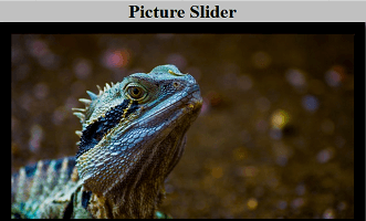 picture-slider